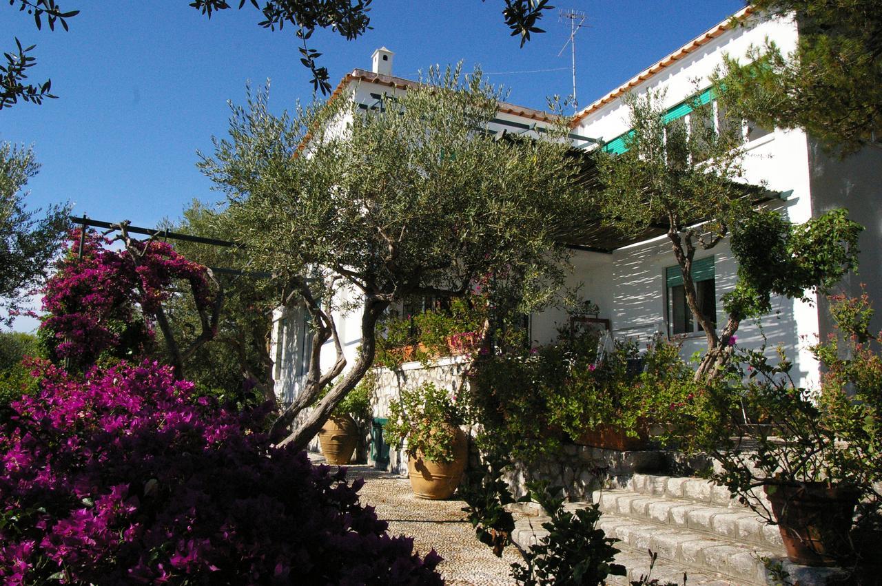 Il Rifugio B&B Capri Anacapri  Luaran gambar