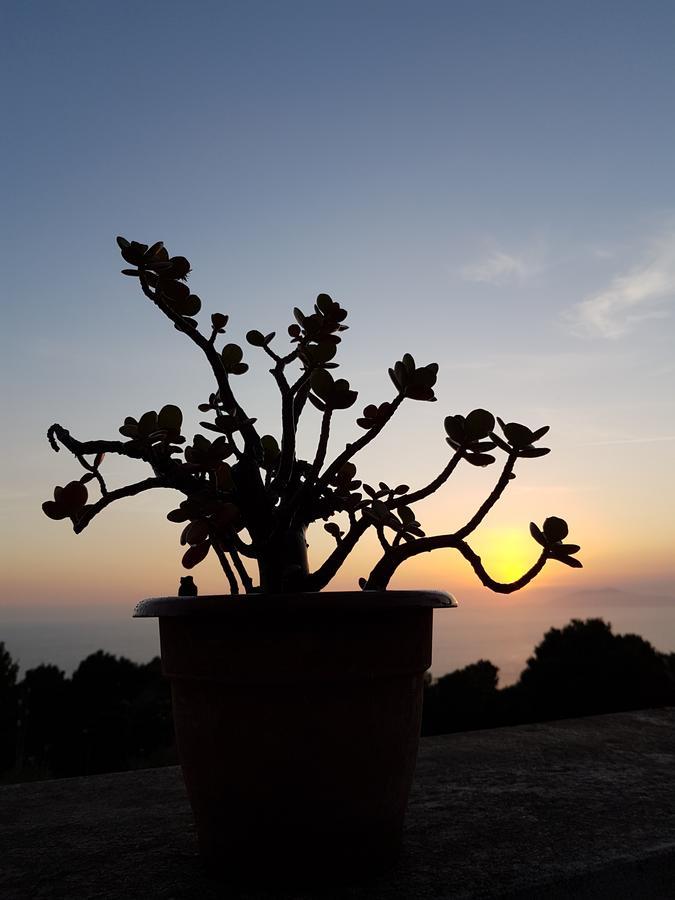 Il Rifugio B&B Capri Anacapri  Luaran gambar