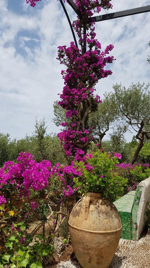 Il Rifugio B&B Capri Anacapri  Luaran gambar