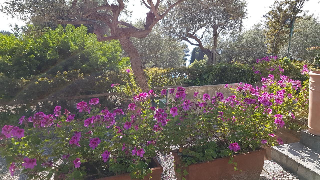 Il Rifugio B&B Capri Anacapri  Luaran gambar